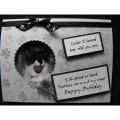 Cat Birthday Greeting Card - Cassia